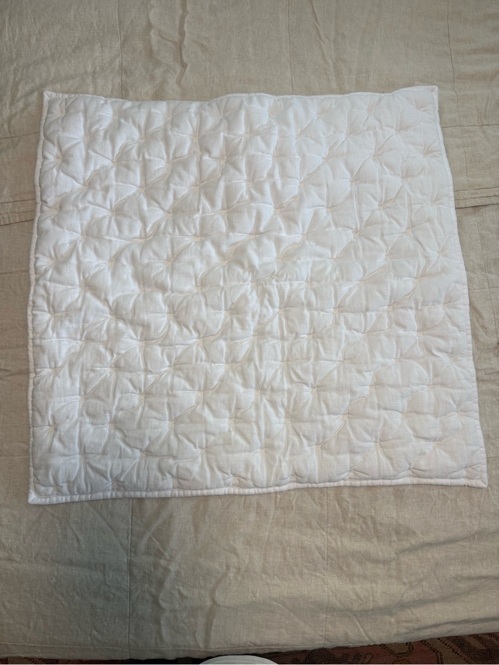 Pottery Barn Amelia Tencel Cloud Quilted Sham in white